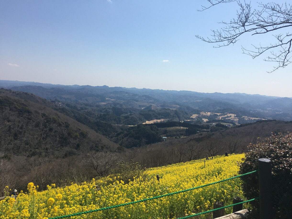 吐き出したい気持ち、お聞き致します 心に抱えたモヤモヤを誰かに話したくなった時に イメージ1