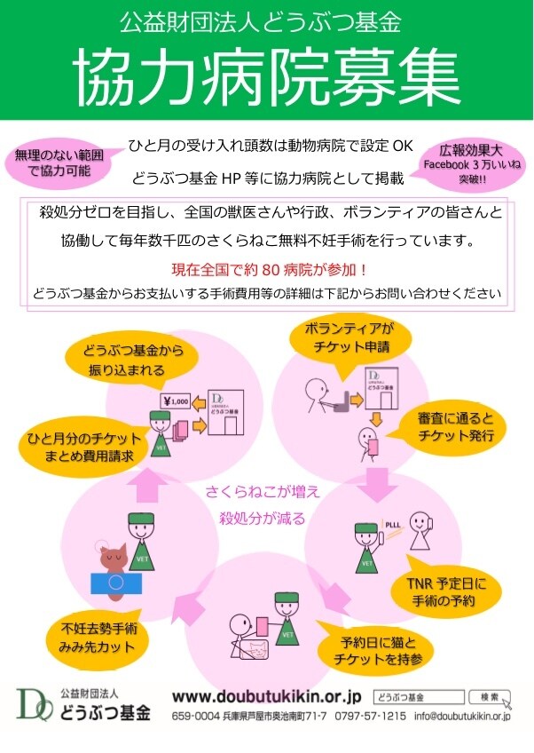 地域猫や多頭飼育崩壊した猫の格安不妊手術相談承ます この出品は購入はされないで、DMからお問い合わせ下さい イメージ2