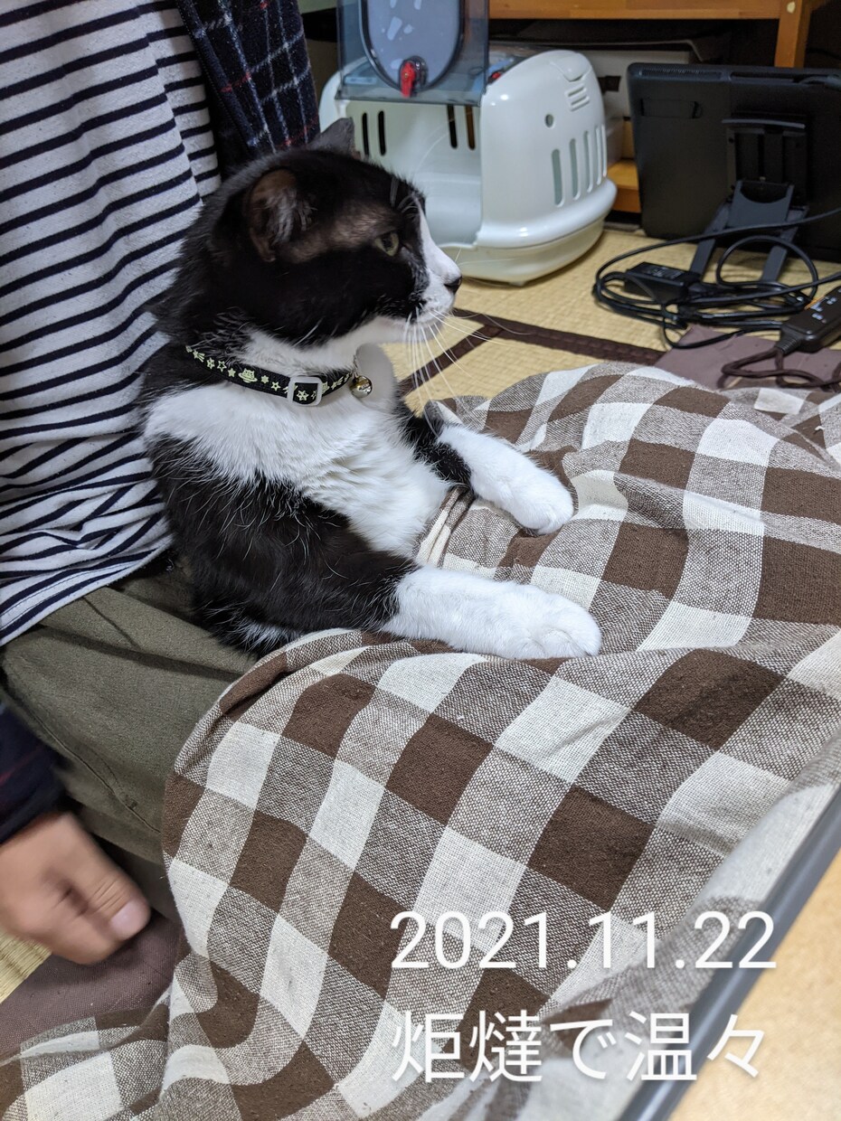 あなたの悩みや愚痴を聞きます アドバイスや診断はしません。とにかく誰かと話したい方の窓口。 イメージ7