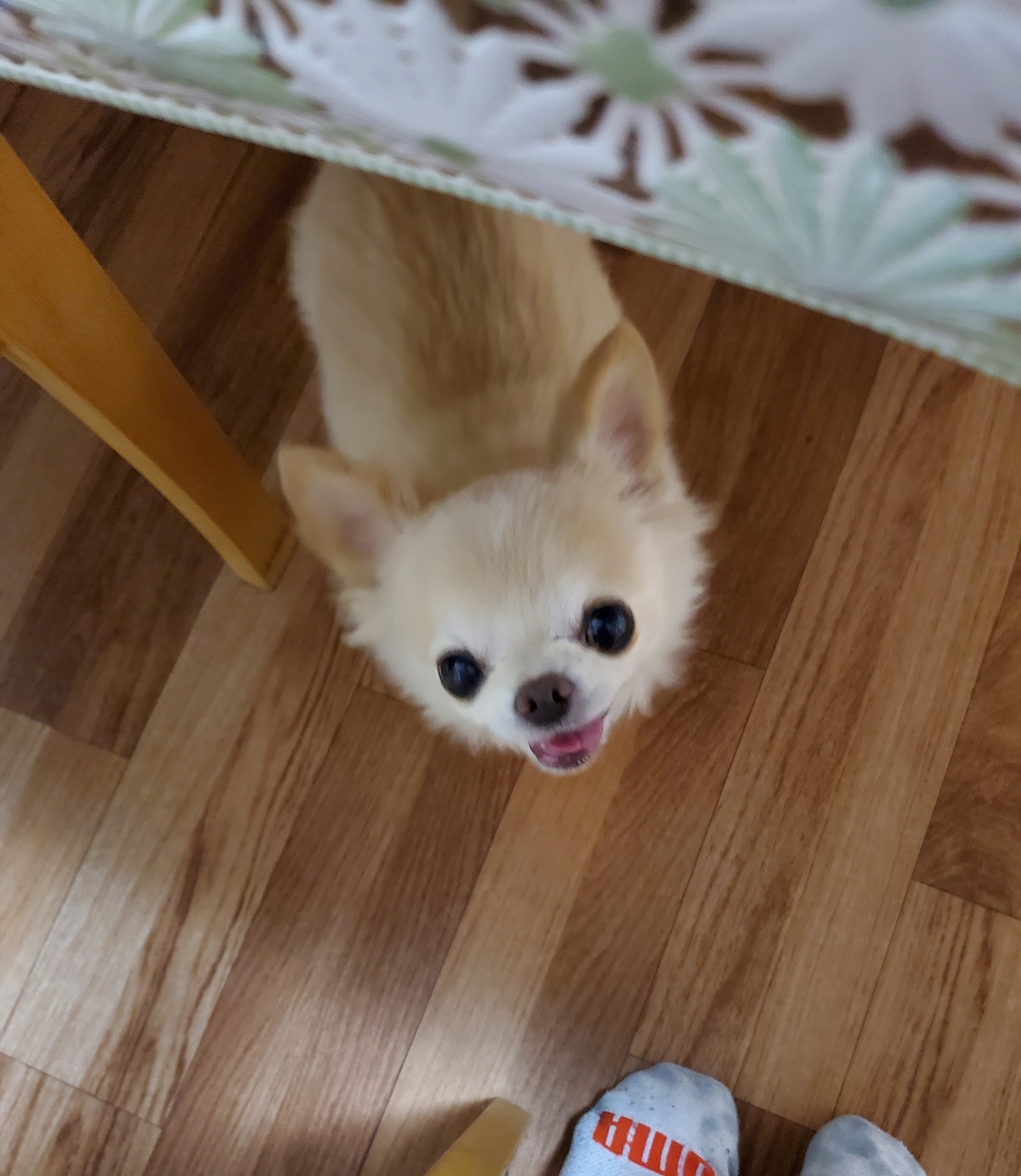 どんなご相談でも！とにかく親身に寄り添います 一人で悩まないで！分かち合いましょう！ イメージ1