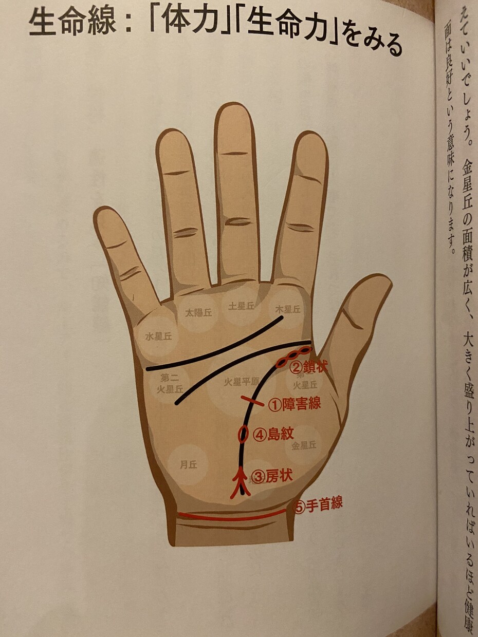 手相を見て流れを掴んでもらいます AIでは読み取る事が出来ない手相を見ます。 イメージ3