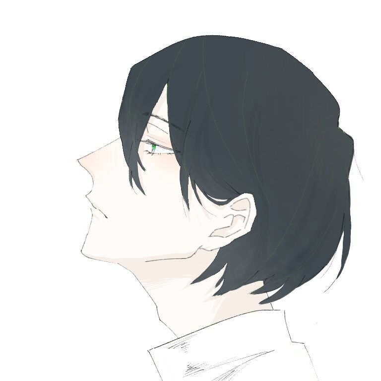 あなたのためのイラストを描きます Twitterなど、SNSのアイコンにオススメです♪ イメージ2