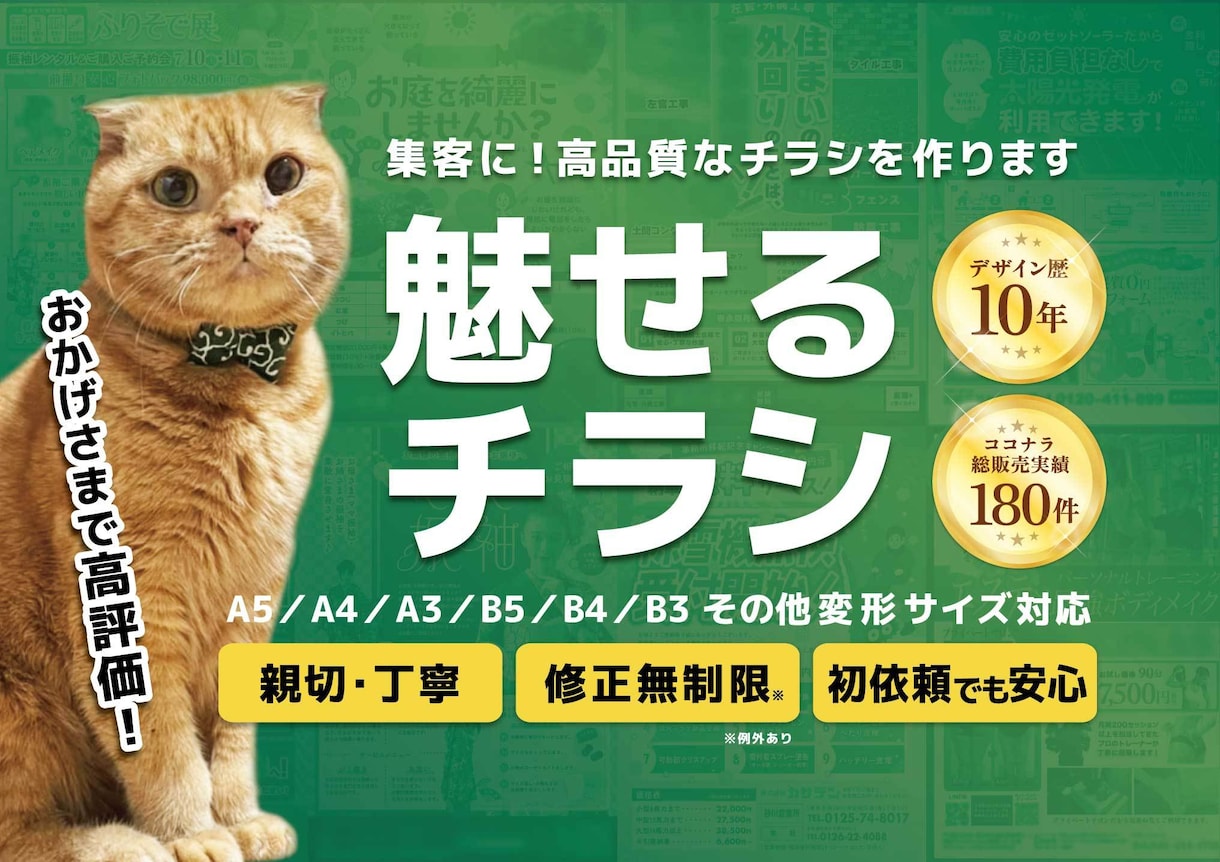 見やすく、訴求力のあるチラシ作ります 折込チラシ、イベント、サークル、事業のチラシを作りたい方へ イメージ1