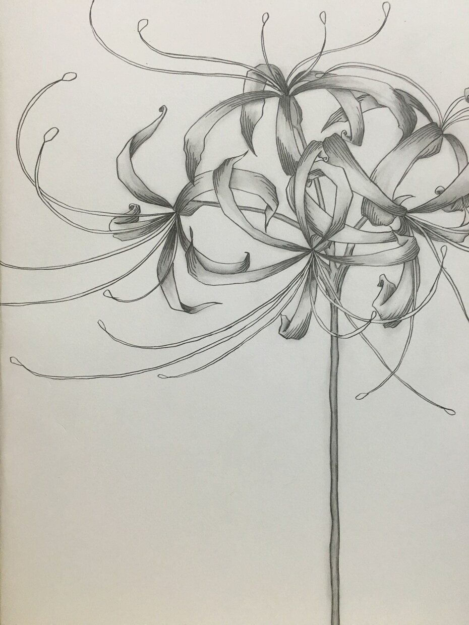 デフォルメ似顔絵、イラスト(主にお花)を描いてます 可愛くデフォルメした似顔絵。お花の絵は贈り物におすすめ！ イメージ3