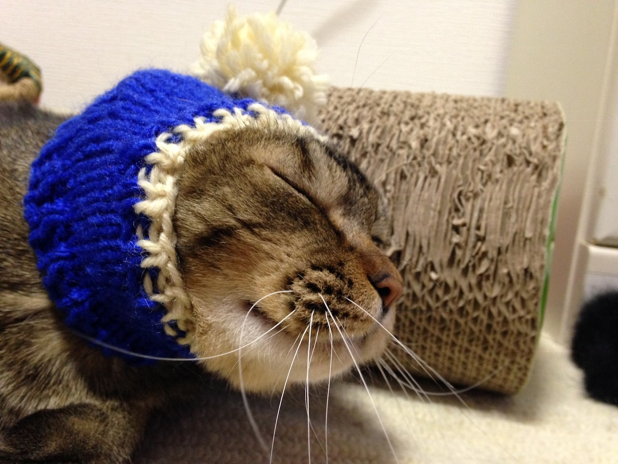 編み物代行してお編みいたします ワンちゃん（犬）ネコちゃん（猫）ベビー（赤ちゃん）ニット イメージ2