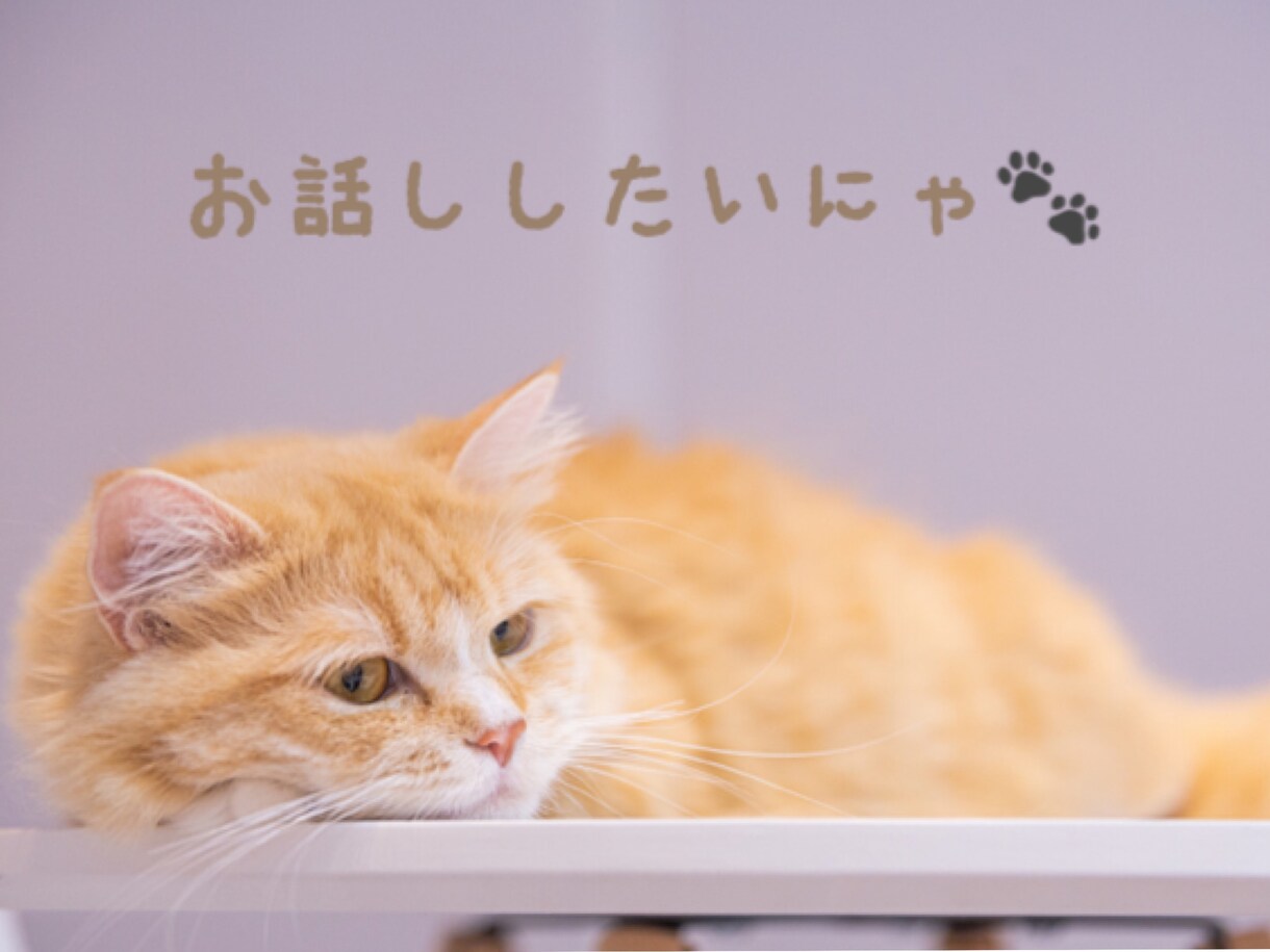 どなたでも大丈夫。愚痴聞き・話し相手になります 秘密厳守・安心の主婦まいりーにお話しをお聴かせください イメージ3