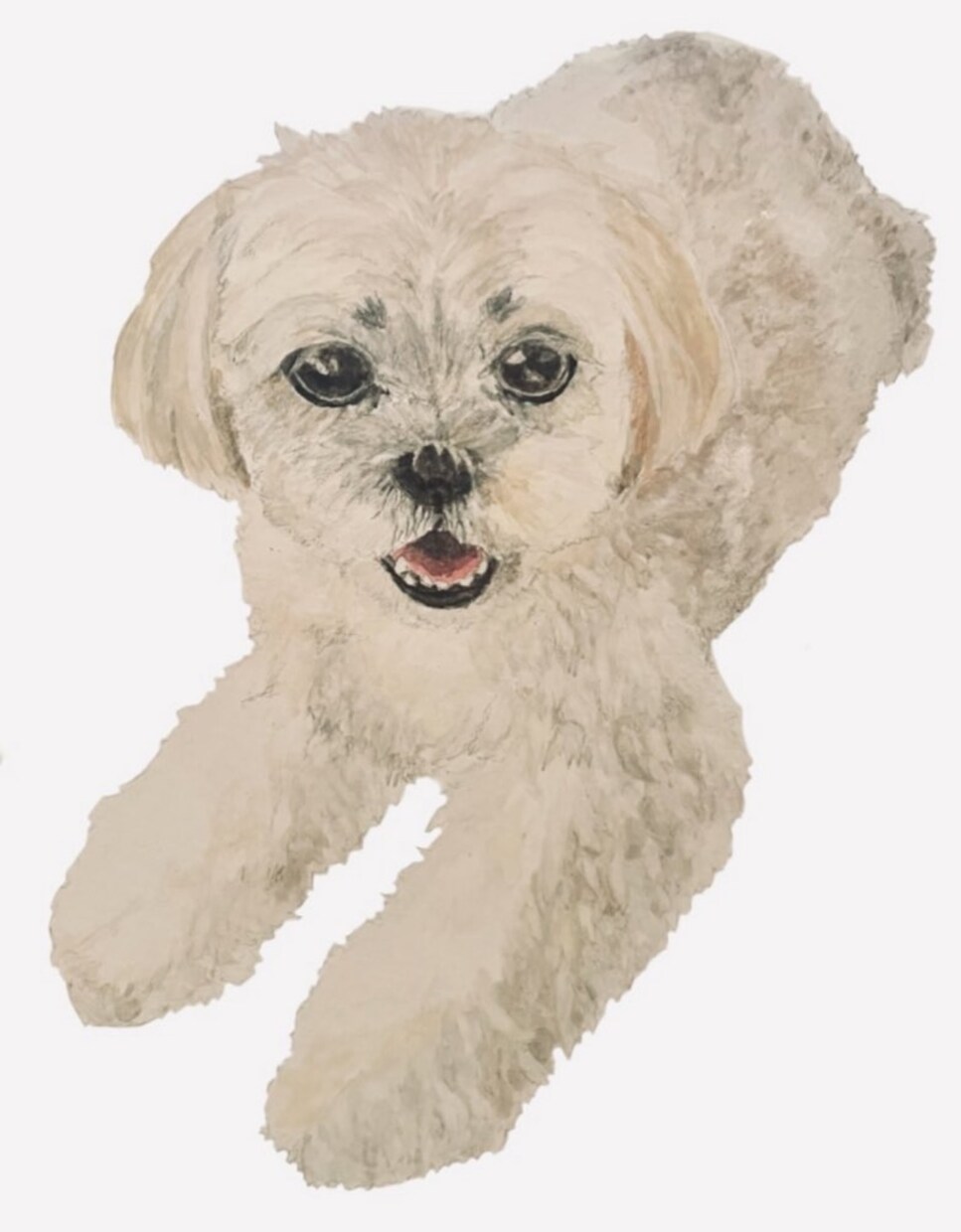 大の愛犬家がワンちゃんの可愛い似顔絵を描きます クレヨンでのあたたかくリアルなタッチです イメージ2