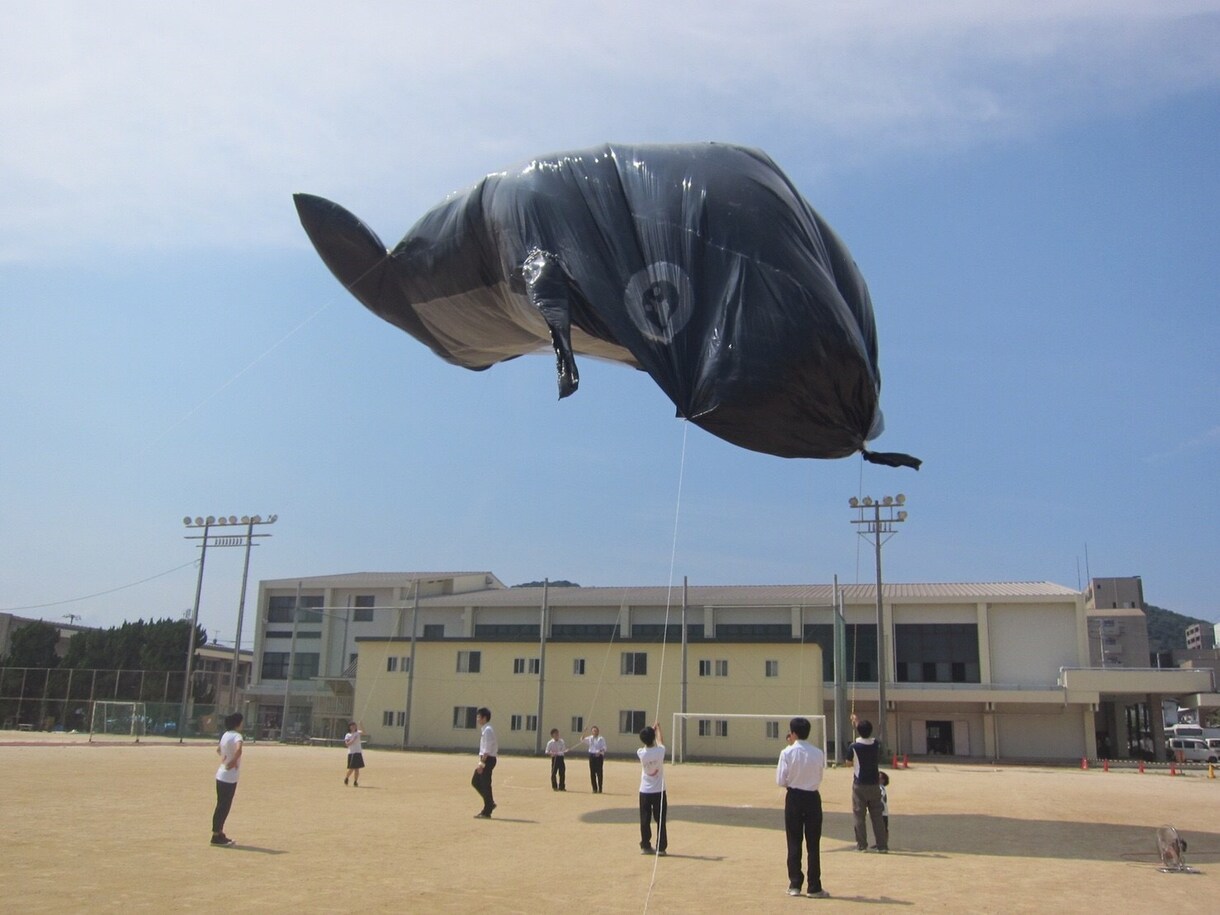 夏休みの自由研究などに便利な理科の実験を提案します 理科の教員を目指す、現役教育学部生がお応えします！ イメージ3