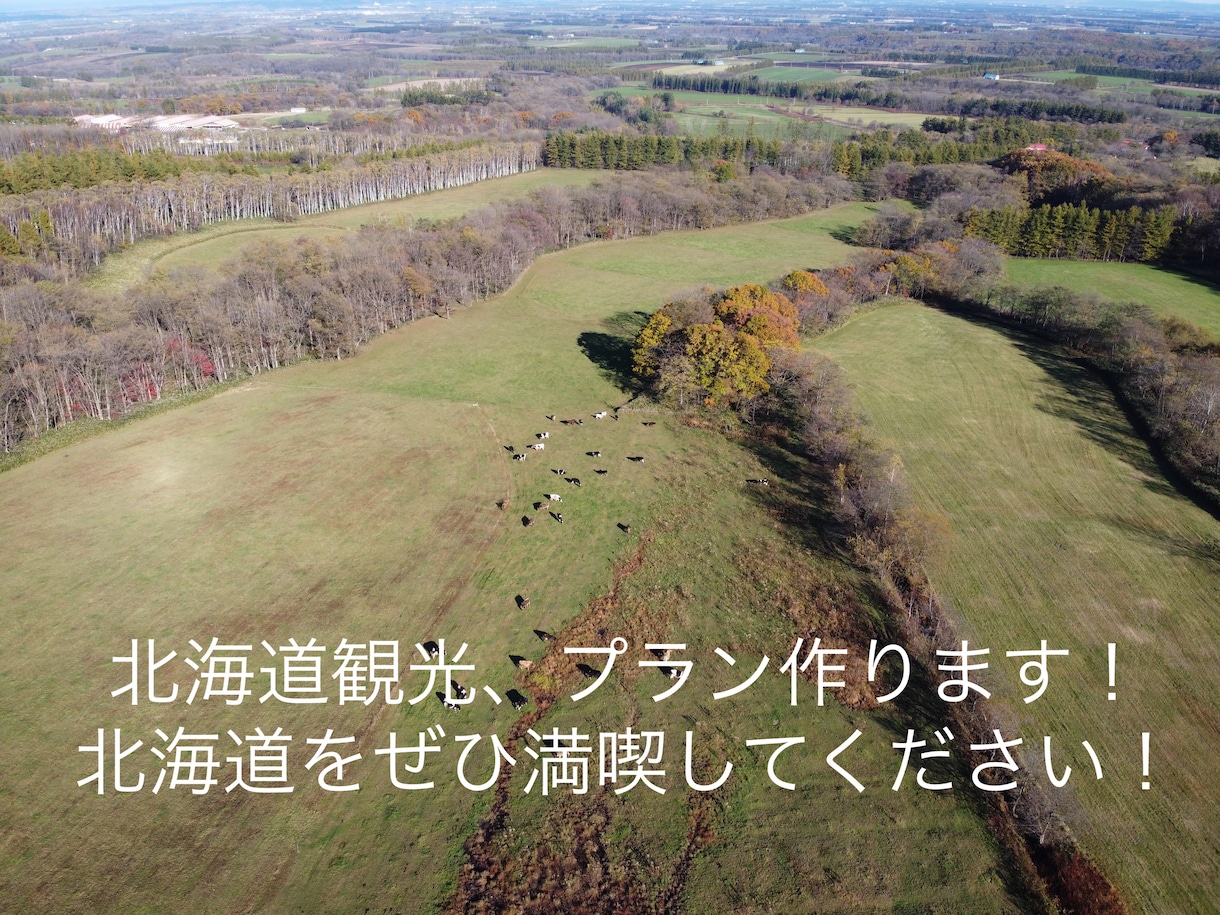 実績多数:初めての北海道旅行、プラン作成します とりあえずのご相談も絶賛受付中！！ イメージ1