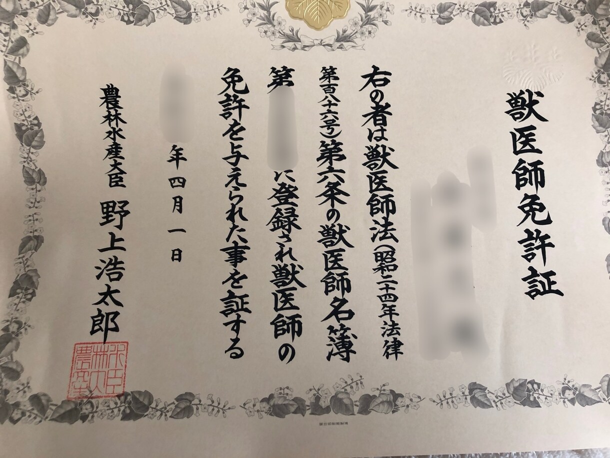 獣医師に直接相談できます ペットに関するお悩み相談を承っております イメージ2