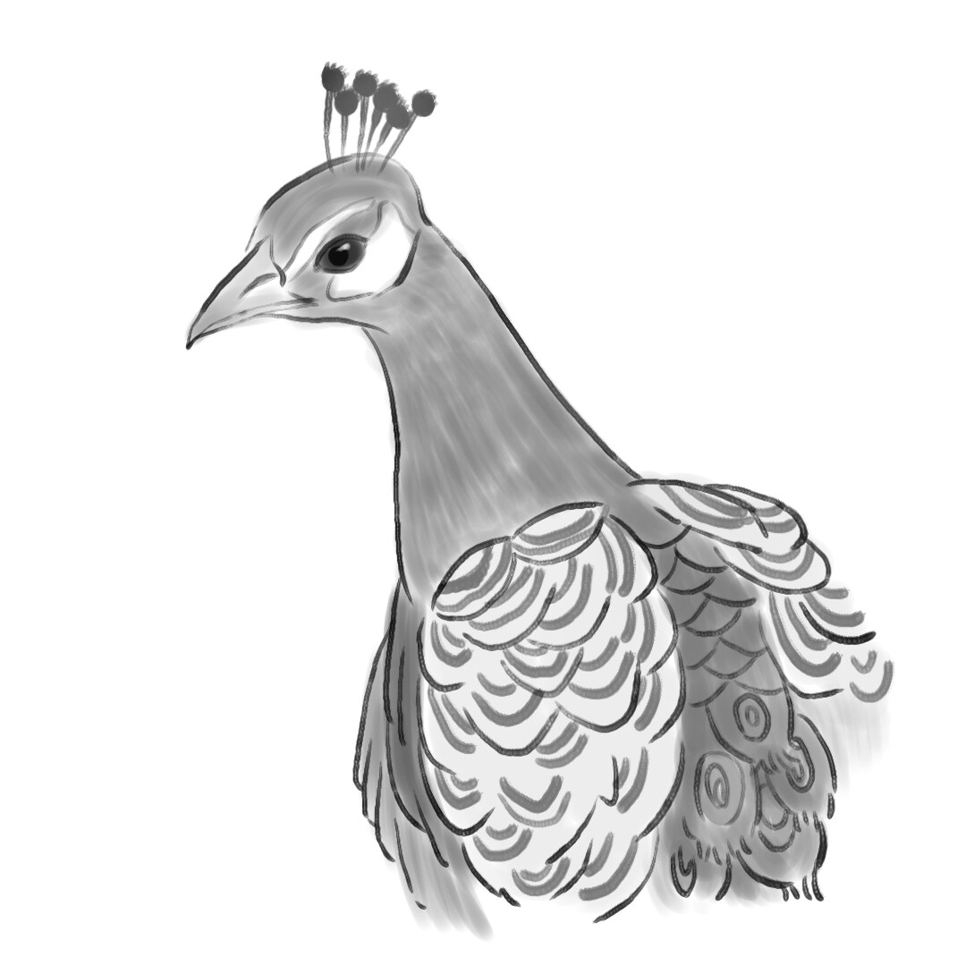 動物イラストお描きします いくつかの画風から選んでいただけます。 イメージ3