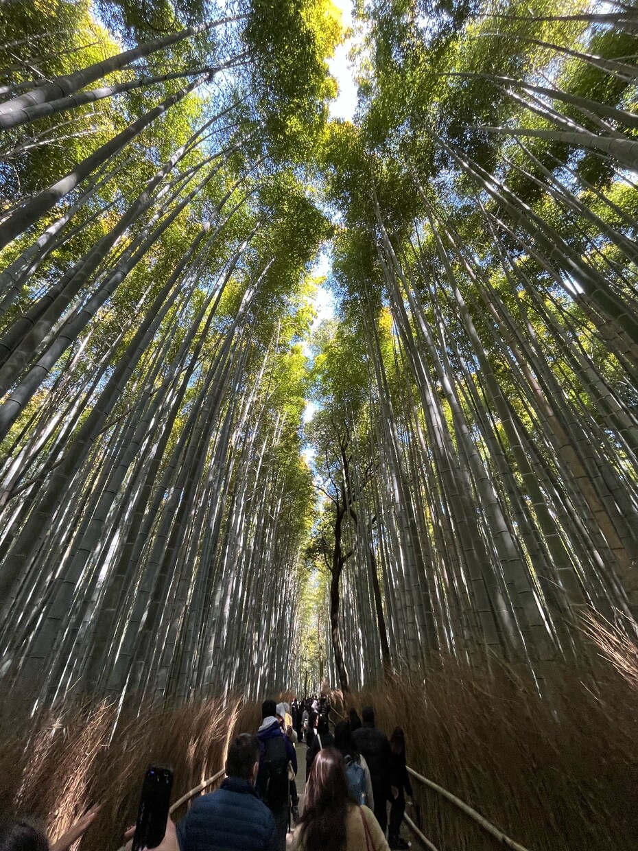 大学生が撮った日常写真を販売させていただきます 大学生ならではの視点で切り取った素朴な日常 イメージ2