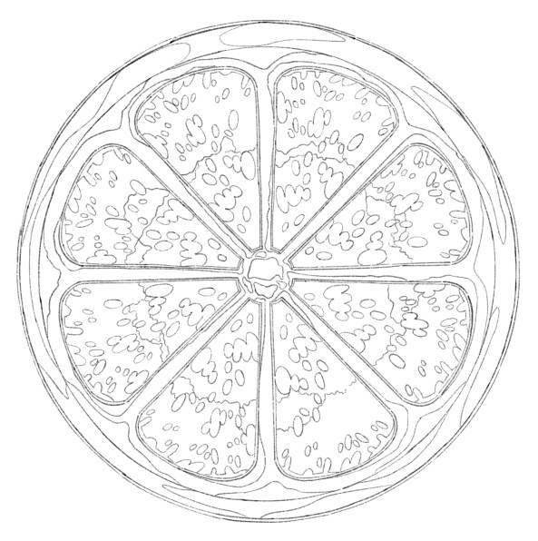 繊細で美しい小物の線画イラストを作成します 食べ物・花・小物のご依頼承ります。 イメージ5