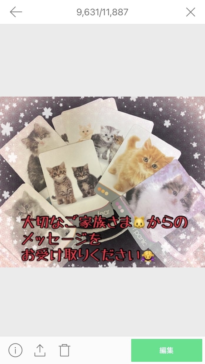 ペット占い♡ご家族のペット犬・猫ちゃん占います ！大切なワンちゃん・ニャンちゃんのお話しを存分にしましょう！ イメージ10