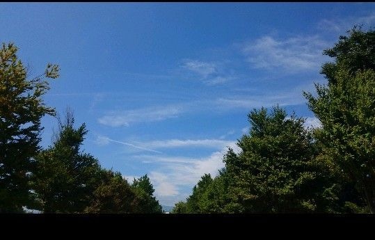 お空から見ている赤ちゃん(子宝妊娠)手紙を届けます 赤ちゃんのメッセージ、素敵な時間を作ってほしい【ライト版】 イメージ2