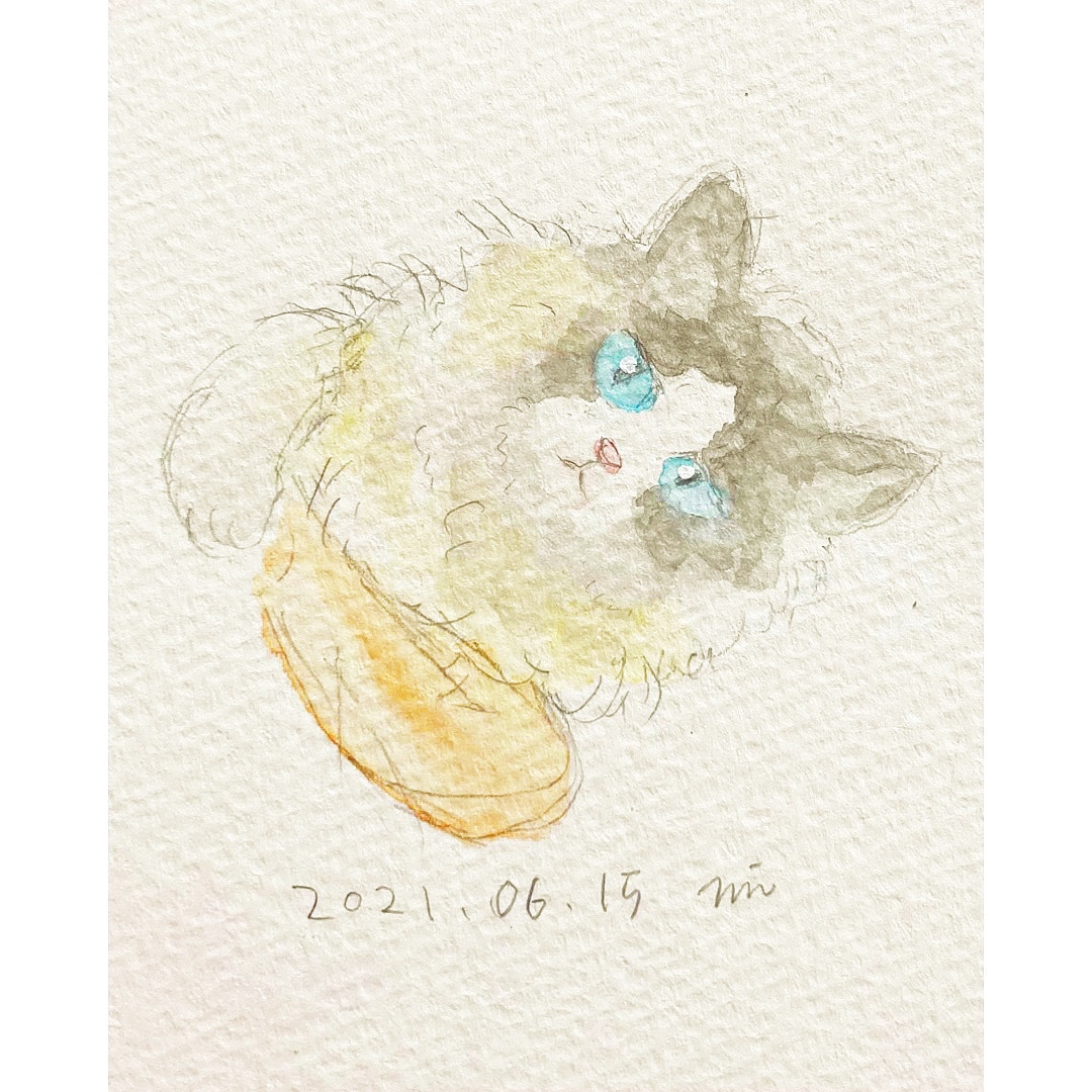 大切な動物さん達を描かせていただきます 水彩で優しい雰囲気のイラストを描かせていただきます。 イメージ3