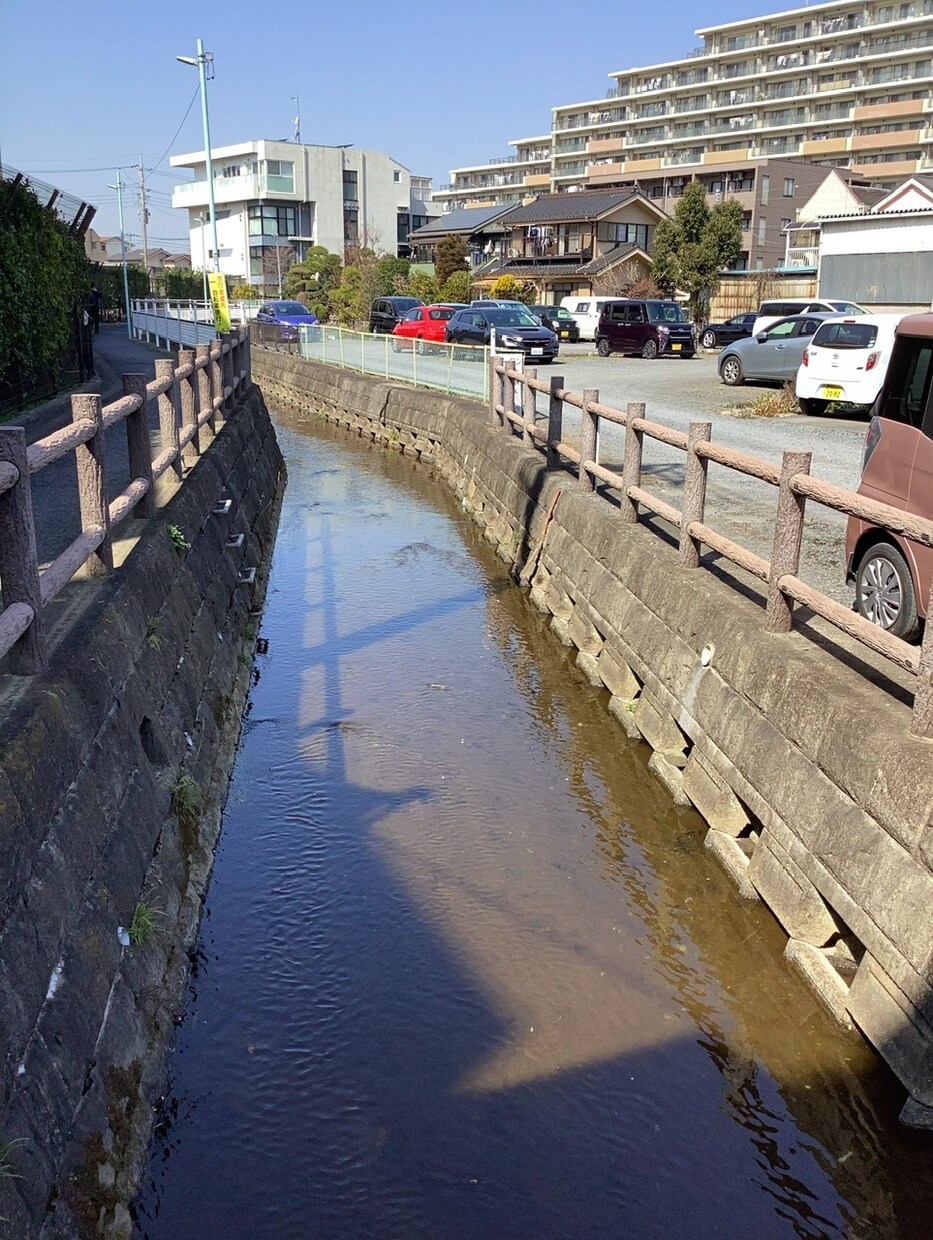 東京近辺どこでも喜んで！街の写真を撮ってきます この街はどんな街？あなたの代わりに訪問して写真を提供します イメージ2