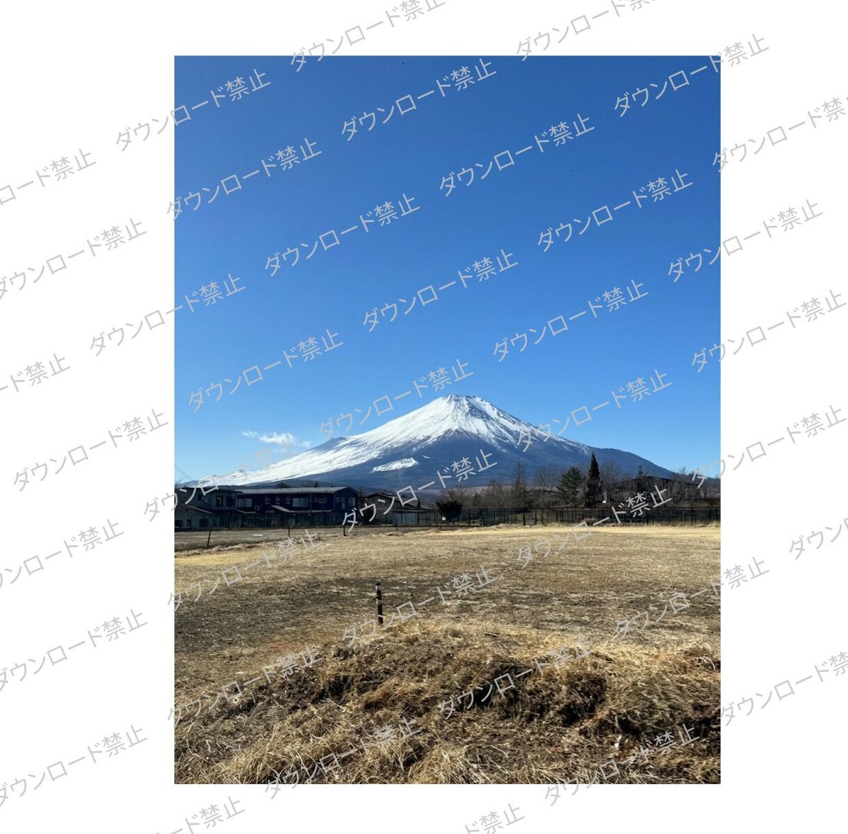 富士山写真素材を販売します SNSや広告PR・デザインに使える富士山写真セット イメージ3
