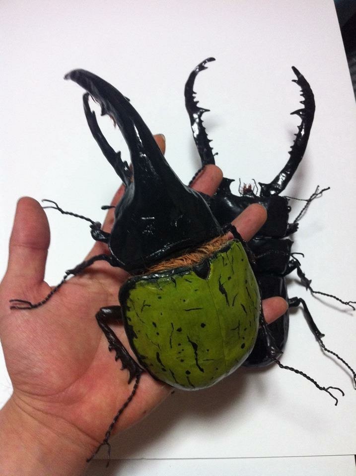 リアル昆虫作ります まるでホンモノ！メディアに取り上げられました。 イメージ2