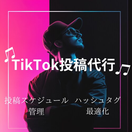 TikTok投稿代行します TikTok投稿代行プラン（忙しい方向け） イメージ1