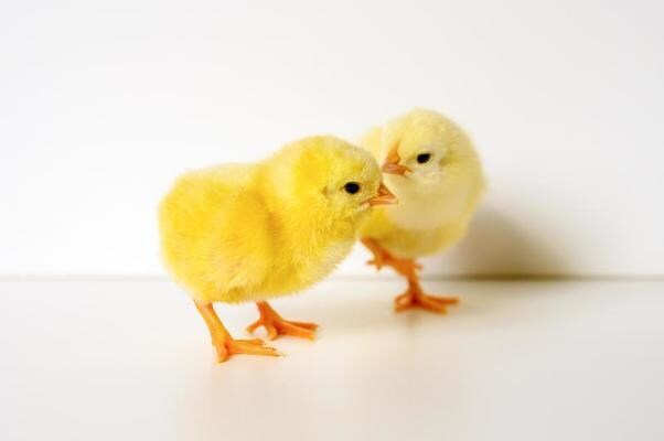 どんな些細な事でも、お話し相手になります 深夜でもご対応させて頂きます!なんでもお話し下さいね！ イメージ1