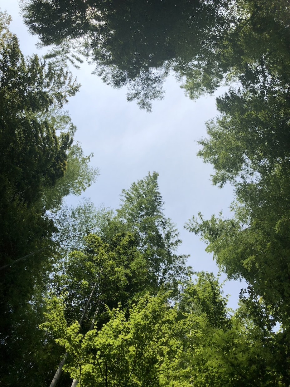 ほんの少しの時間でも、あなたのお話何でもききます 今日もおつかれさま♪いつも頑張っているあなたを応援します。 イメージ4
