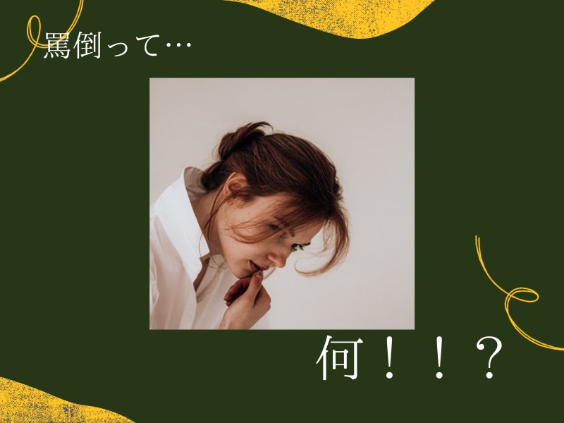 初心者S女様へ！電話で罵倒講座いたします M男対応！お叱り語彙やバリエーションは無限になります！ イメージ1