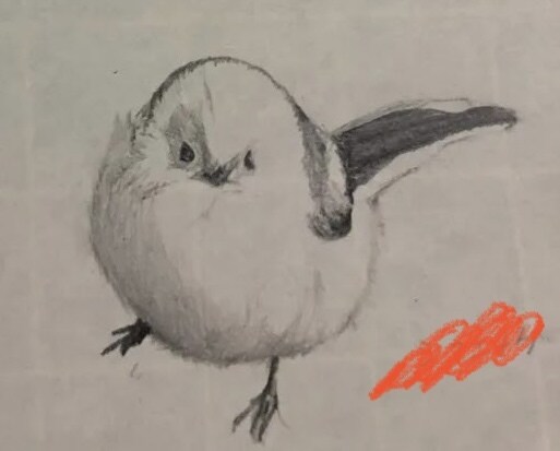 動物、人物の鉛筆画描きます サイズ変更◎ペットの似顔絵デッサンなど〜 イメージ3
