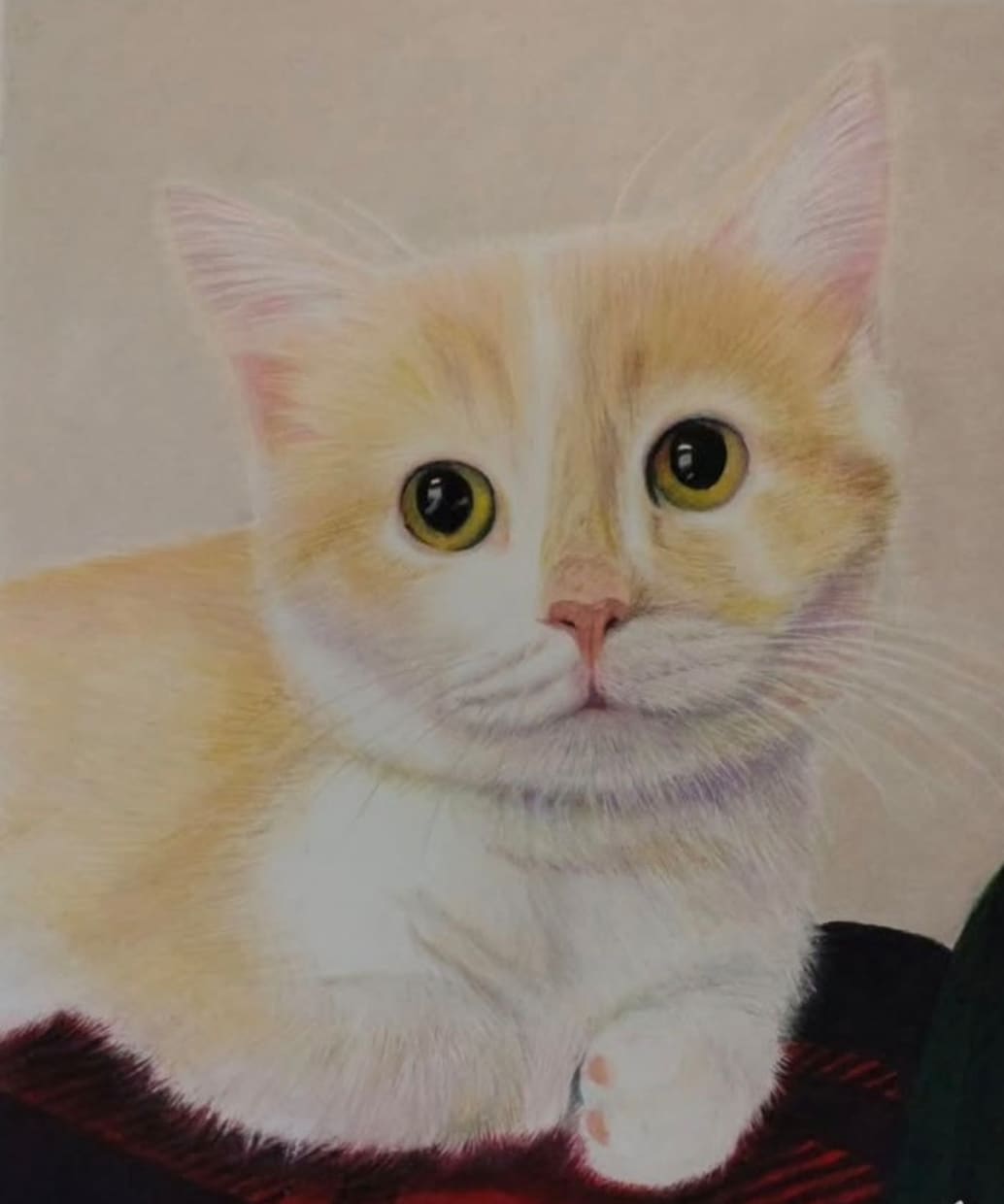 ペットを色鉛筆でリアルに描きます 大切な家族の思い出、記念にいかがですか イメージ1