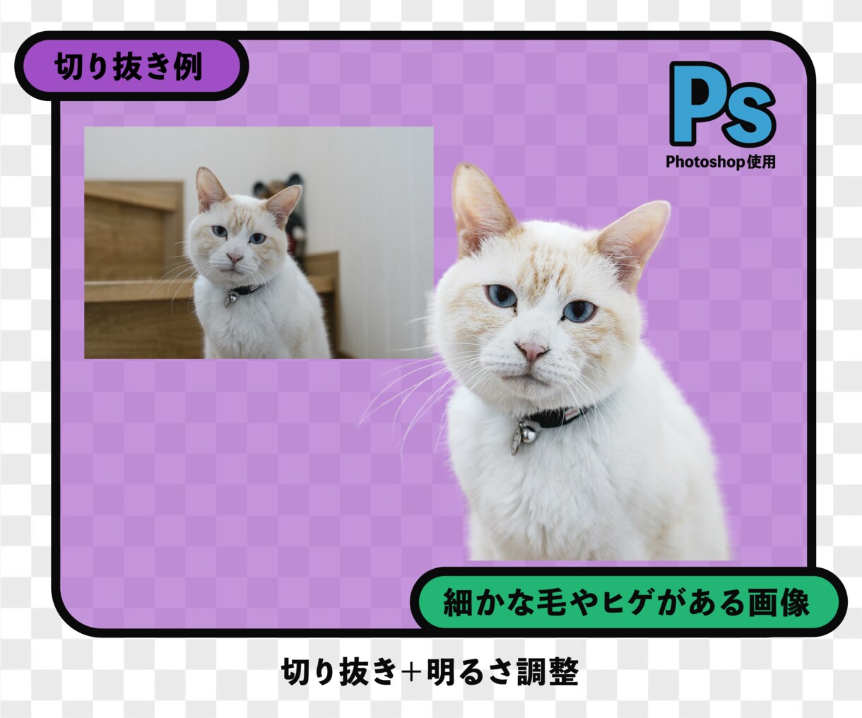 写真・画像 切り抜きいたします 白抜き・背景透過切り抜き・パス抜き ていねいに仕上げます イメージ4
