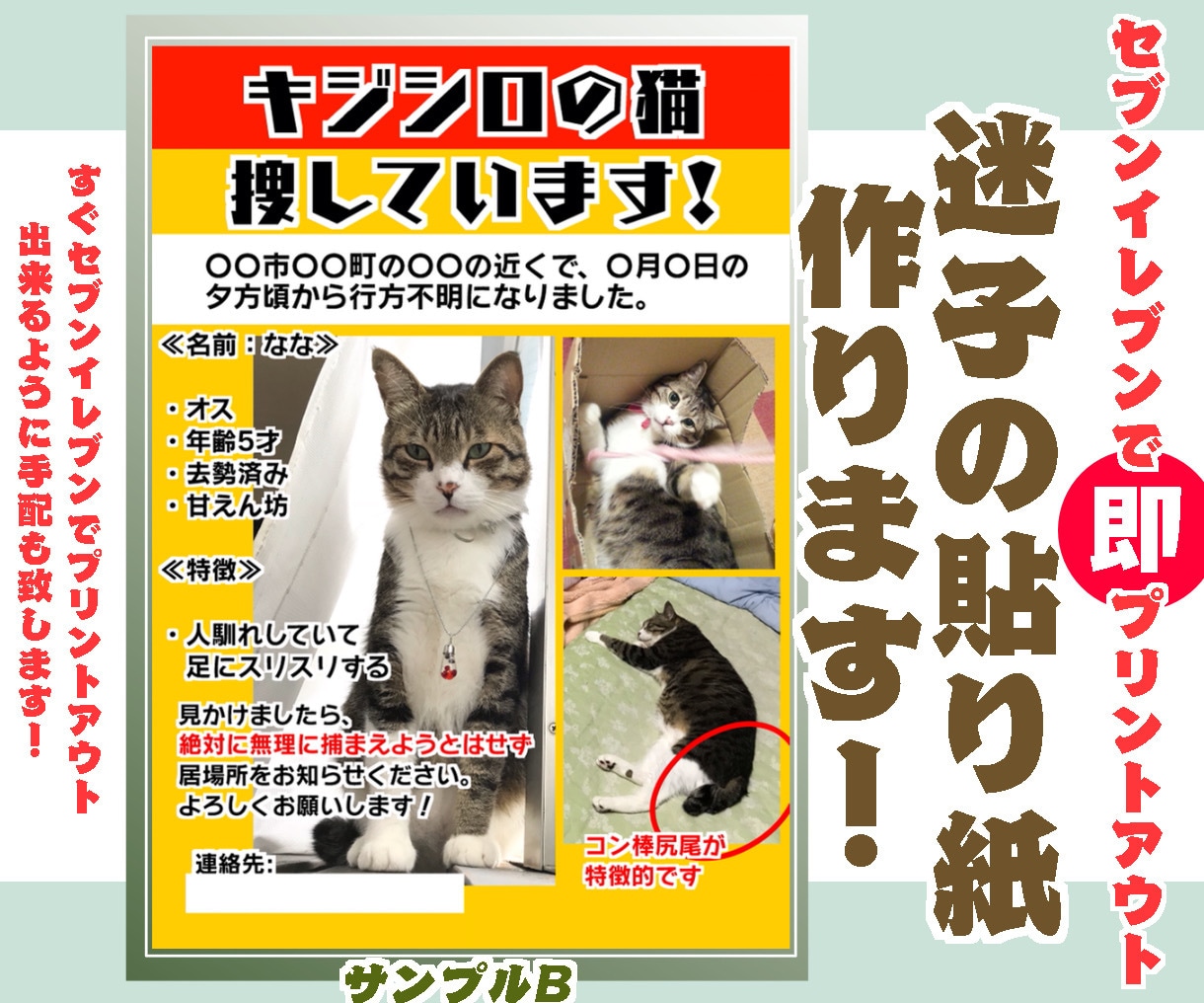 突然のペット迷子！でも大丈夫！迷子チラシ作ります 貼り紙をセブンイレブンで即印刷出来るよう手配致します! イメージ2