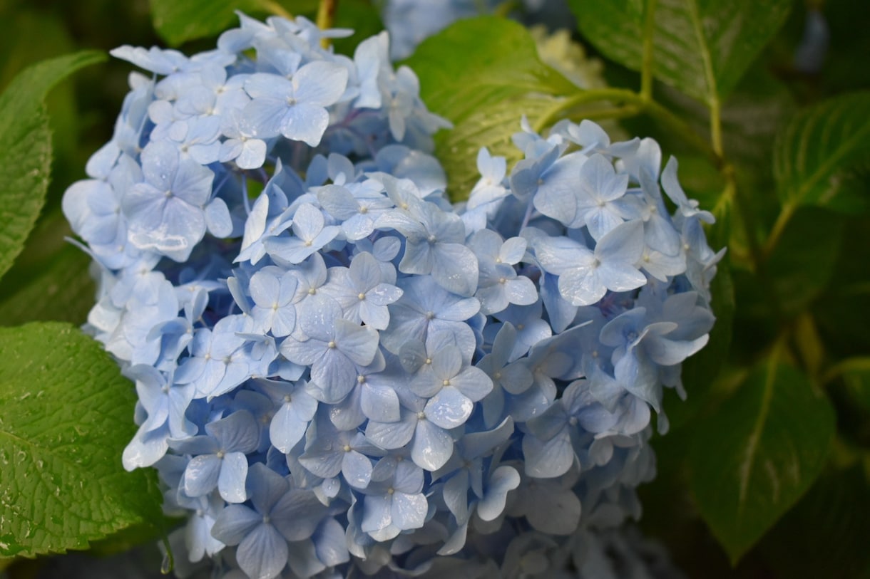 幸せを見つけるヒント❀/人生の悩み解決します ❀日常に溢れている小さな幸せを見つけるヒントを差し上げます❀ イメージ2