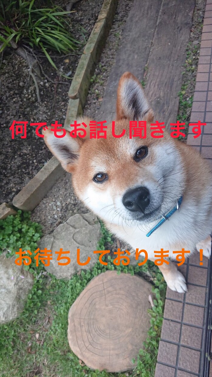 1分から何でもお話しを聞きます どんな内容でも沈黙でも全て受け入れます！ イメージ1