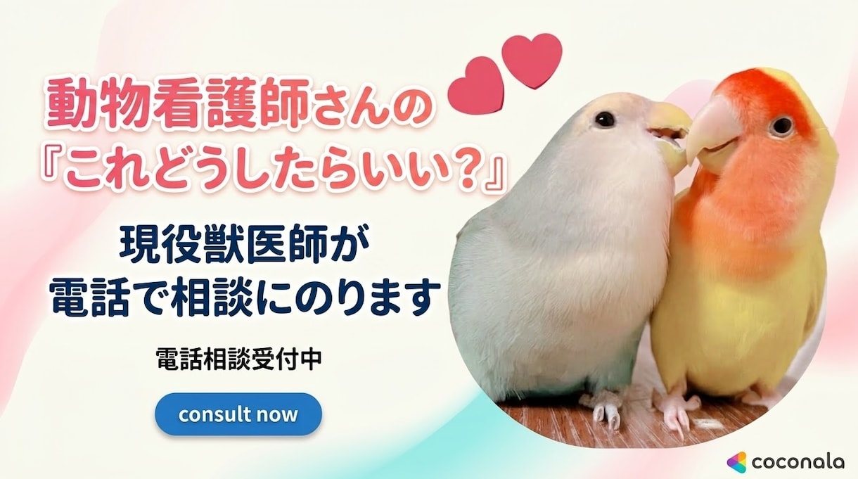 動物看護師の悩み全般、獣医師が電話で相談にのります 飼い主様の対応・人間関係・キャリアの悩みをお聞きします！ イメージ1