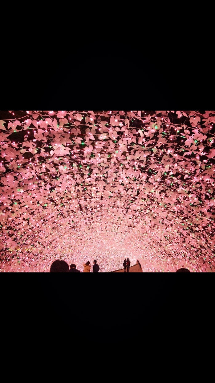 今復縁して溺愛された♡引き寄せ伝授します 潜在意識を使い、理想の彼を引き寄せたり、復縁してきました♡ イメージ1