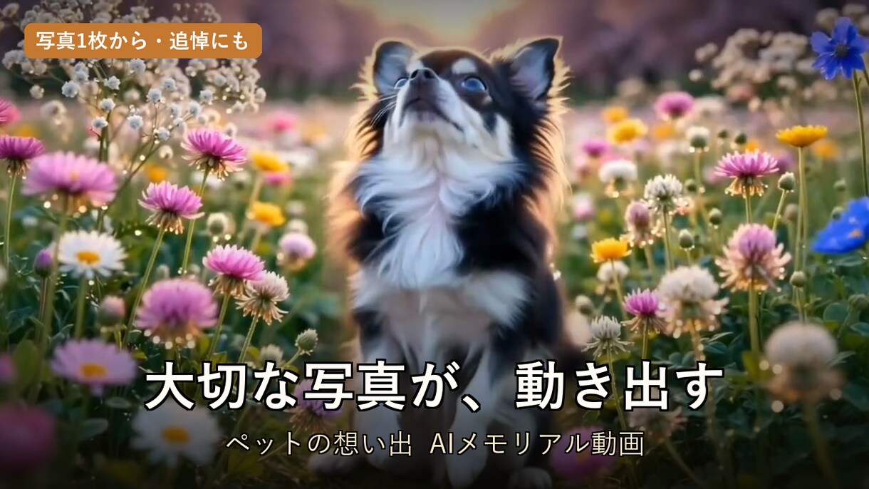 愛犬愛猫の写真を動く想い出ムービーにします あの子がもう一度動き出す。追悼にも、記念日の贈り物にも。 イメージ1
