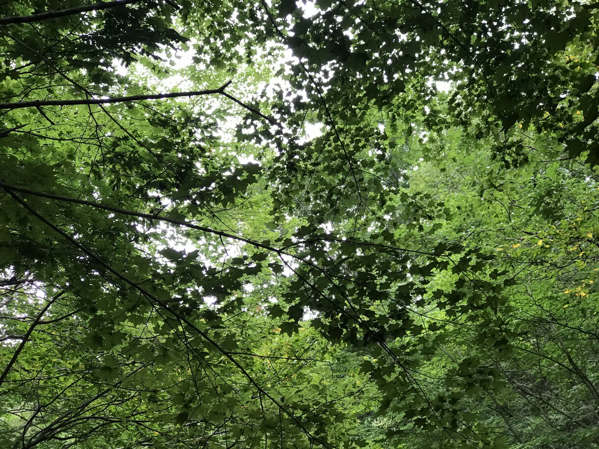 貴方の基本運勢を占います どうしてもついていない…とお悩みの方。まずは自分を知る事から イメージ1