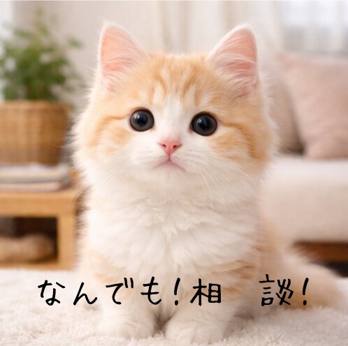 なんでもお話聞きます いろいろな経験をもとに、お話聞きます！ イメージ1