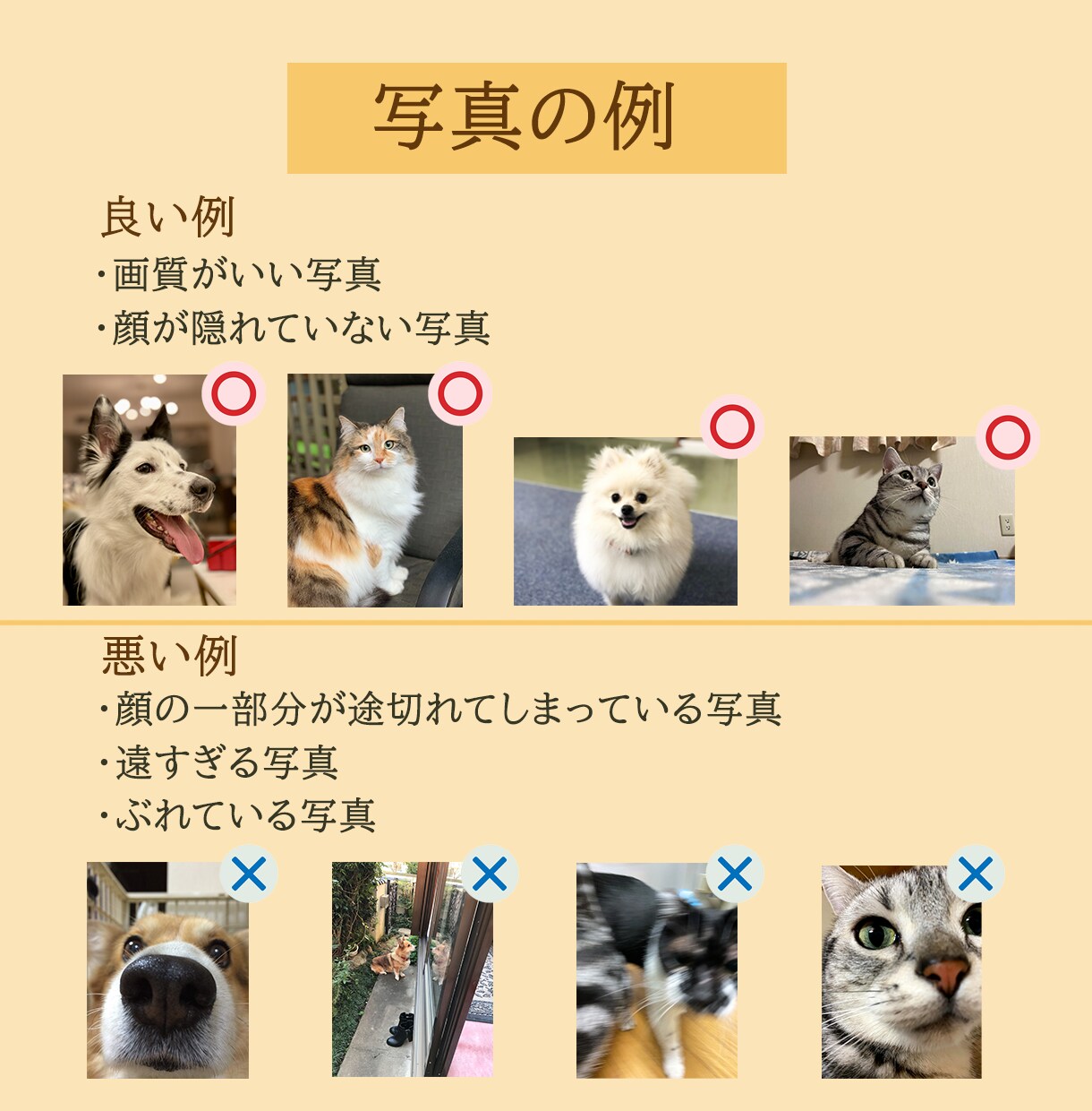 ペットのお写真をキャンバスアートにいたします 吊り金具・吊り紐付き！プレゼントにも♪ イメージ10