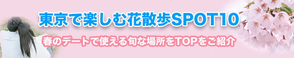WEBデザイン、バナーデザインを作成します クリックされるバナーをデザイン イメージ3