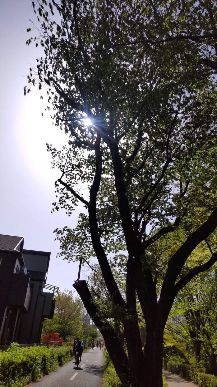 モヤモヤする相手の気持ち、占います 今、苦しい貴方のために、恋愛いろいろ受け付けます。 イメージ3