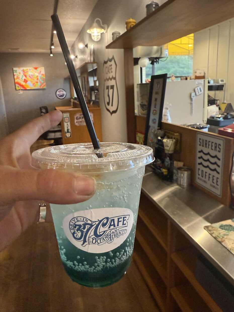 昼飲みや晩酌お付き合いします 昼から楽しいやつと飲みながら、夜もベロベロになるまで付き合う イメージ1