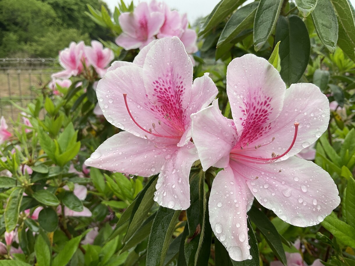 あなたを応援します １分でも良いです。やさしさにふれてください。 イメージ2