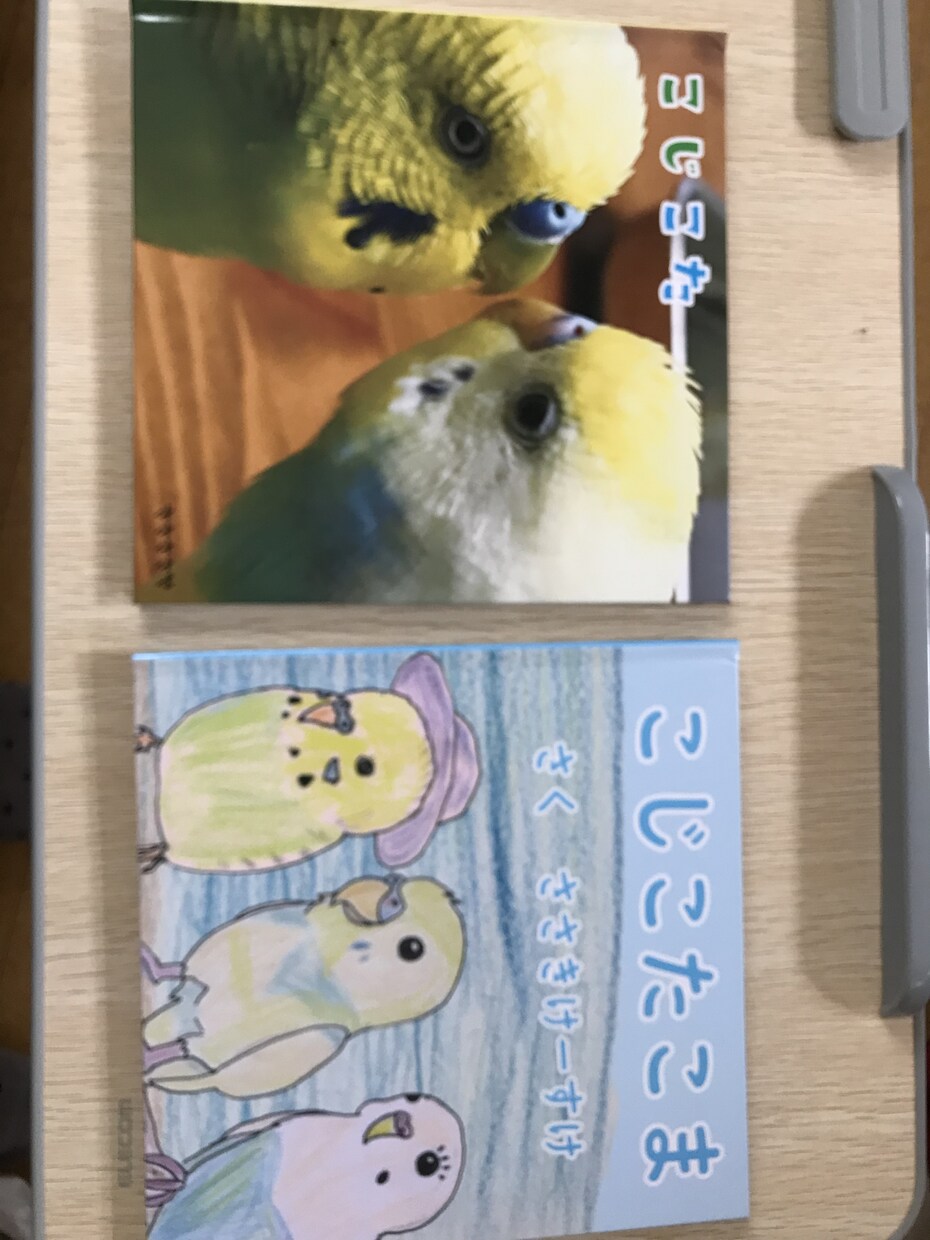 写真集のご制作致します ペットの写真集、記念日の写真集等ご制作致します。 イメージ5