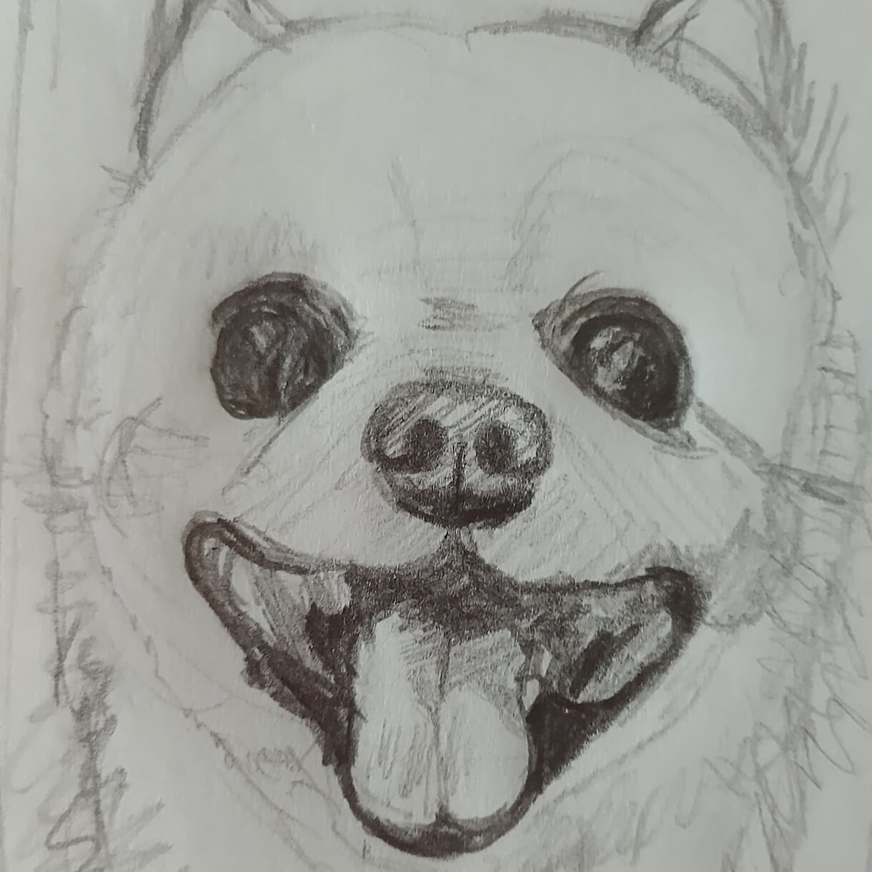 可愛いペット水彩画の似顔絵描きます うちの子似顔絵、ポストカードサイズの水彩画です。 イメージ5