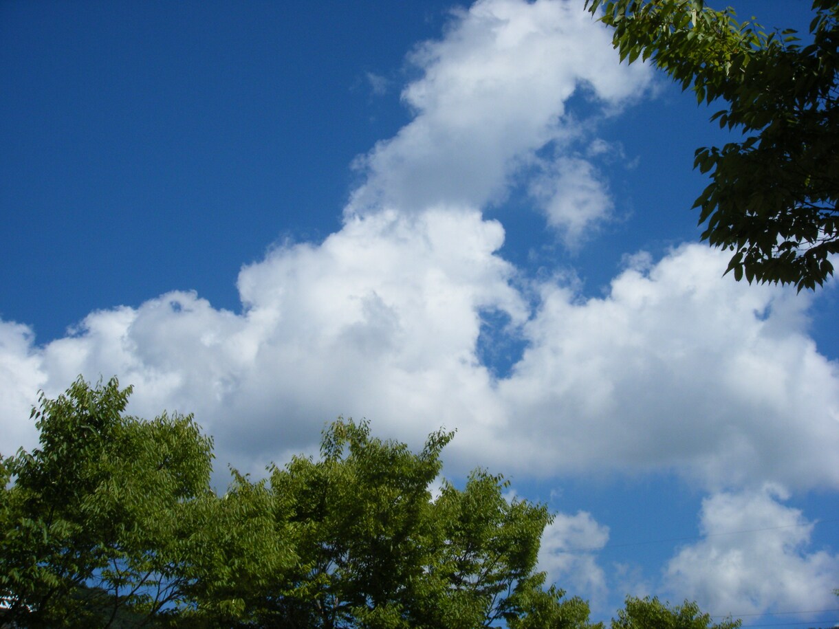 未来ポストへの投函お待ちしてます あなたの人生の青写真を映し出します。 イメージ2