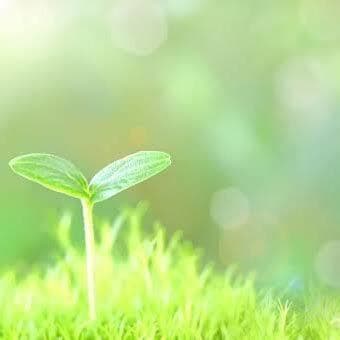 秘密厳守で何でも聞きます 悩み、愚痴、恋愛相談、雑談何でも✿ イメージ1