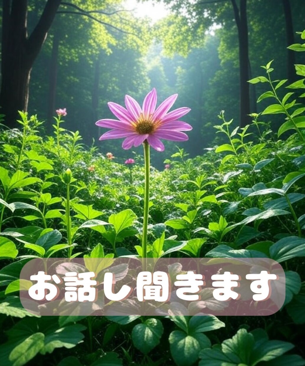 心の声聞かせてください今夜はそっと寄り添います がんばらなくていい時間ここにあります。のんびりと癒しの時間 イメージ1