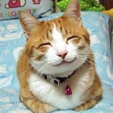 欲しいときに、欲しい言葉を届けます ゆったり、まったりした時間の中で、あなたの心を癒します。 イメージ1