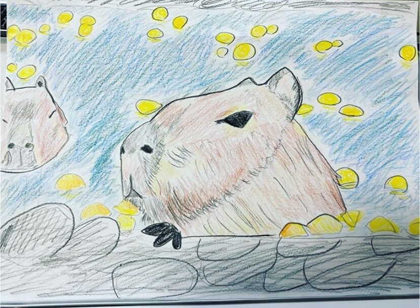 好きなお題でイラスト書きます やわらかな手書きイラスト欲しい方向け イメージ4